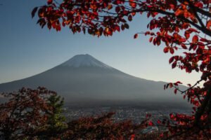 Lire la suite à propos de l’article A Comprehensive Guide on What to Pack for Your Trip to Japan